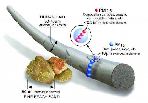 Size comparison of human hair, PM10, and PM2.5. Four PM2.5 particles are equal in width to one PM10, and roughly five PM10 are equal in width to human hair.