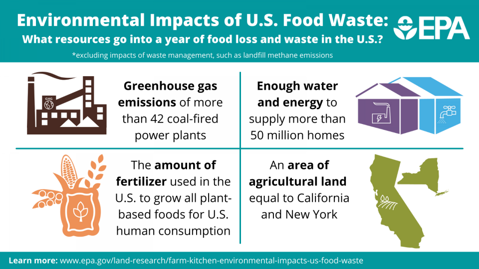 United States food waste causes many environmental impacts that include the production of greenhouse gas emissions and the loss of water, energy, fertilizer, and agricultural land.