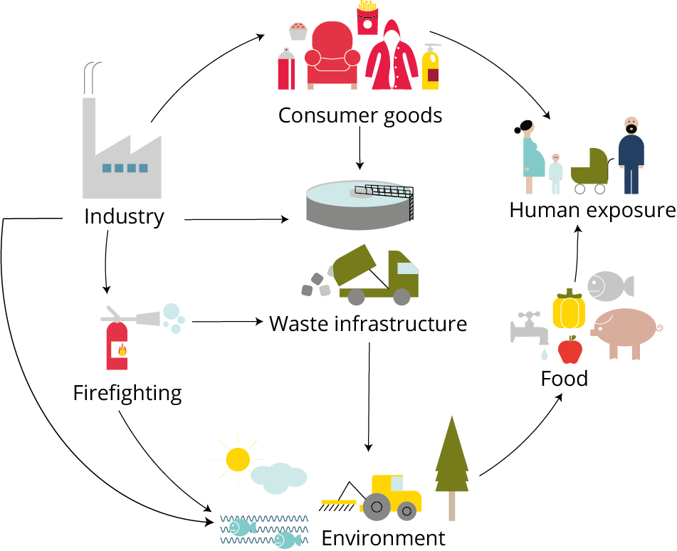 This image illustrates how humans are exposed to PFAS via the environment, food, consumer goods, and waste infrastructure.