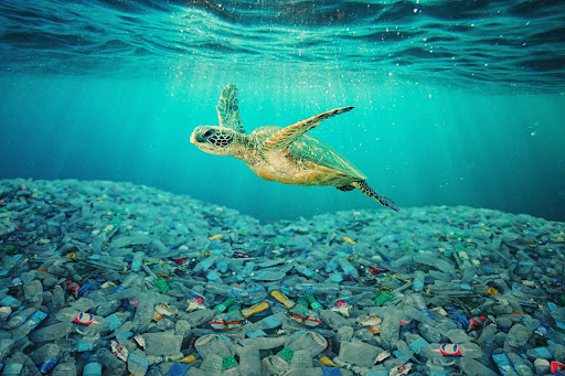 Sea turtle swimming over seabed covered in plastic trash