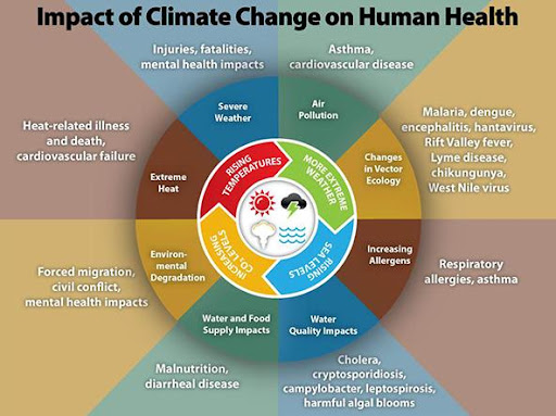 The impacts of climate change on human health relating to air pollution, changes in vector ecology, increased allergens, water quality, water and food supply, environmental degradation, extreme heat, and severe weather.