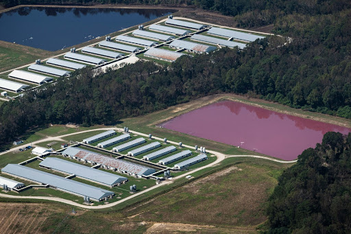 Sky-level photo of a Confined Animal Feeding Operations (CAFO)
