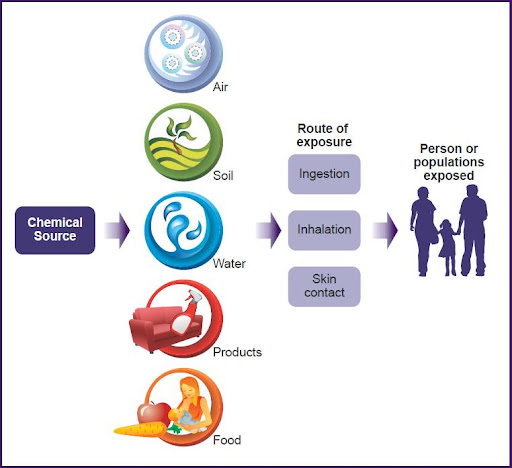 Flow chart showing how a chemical in air, soil, water, products, and food can expose people through ingestion, inhalation, or skin contact.