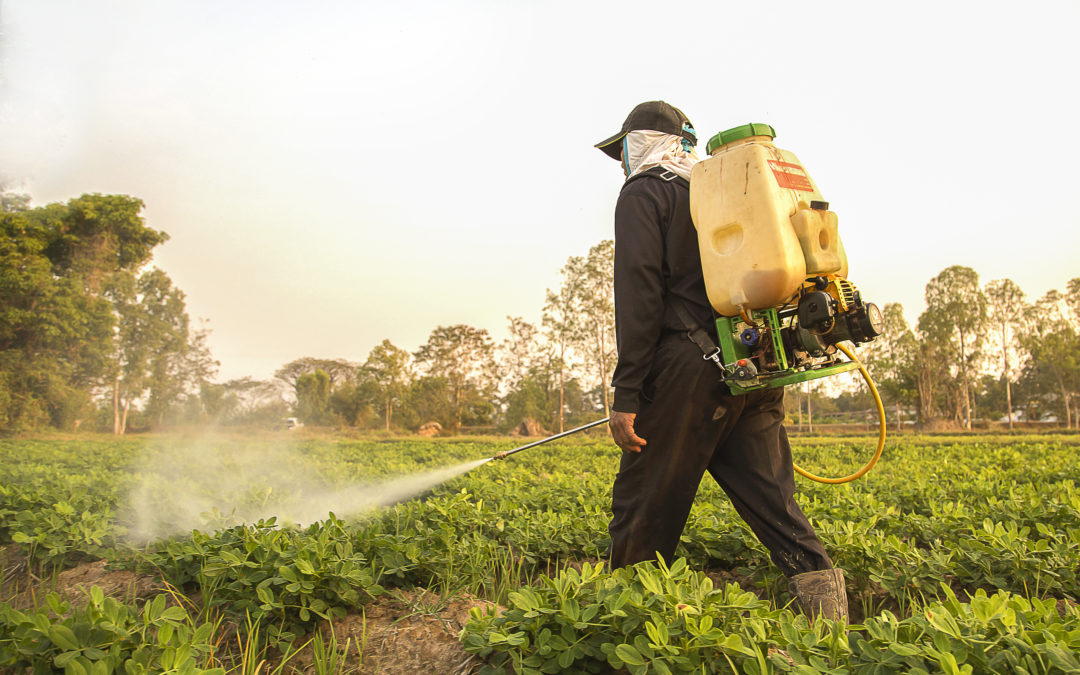 The Ugly Side of Pesticides