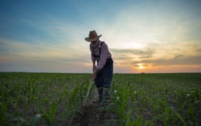 A Reflection: Farmworker Reality Tour