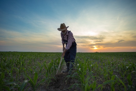 A Reflection: Farmworker Reality Tour