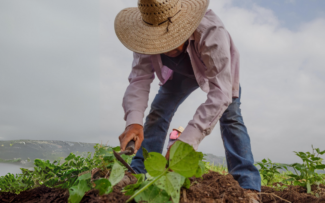 Protected: Discusiones de Tulare: Trabajadores